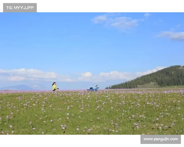亲爱的湖蜜们,休赛期终于结束!新赛季即将开启,我们准备好了吗? 亲爱的湖蜜们,休赛期终于结束!新赛季即将开启,我们准备好了吗?